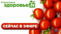 Здоровье ТВ - всем, кому не безразличны вопросы здоровья и правильного питания.