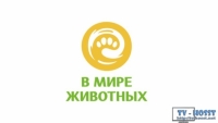 В мире животных - развлекательно-познавательный канал о жизни животных. Телеканал рассчитан на семейный просмотр. Вещание в формате HD создает ощущение полного единения с природой.....