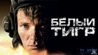 Танкист погиб и вновь родился. Война вернула жизнь. Новую жизнь, подчиненную одной цели: избавить мир от Белого Тигра... танка-убийцы... танка-чудовища.<br />
Что это? Бред? Мираж? Секретное оружие Рейха? Или ему открылась главная тайн....